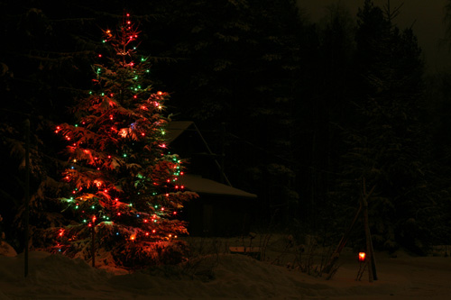 Finnish Christmas Tree and lights in snow